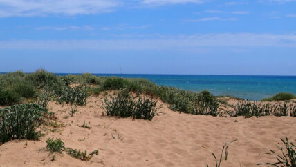 Riserva Naturale Orientata Foce Belice